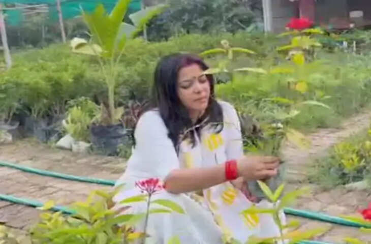 औषधीय पौधों की बागवानी कर लोगों को मुफ्त में बांट रहीं शालिनी, देवरिया में पर्यावरण संरक्षण का दे रहीं संदेश