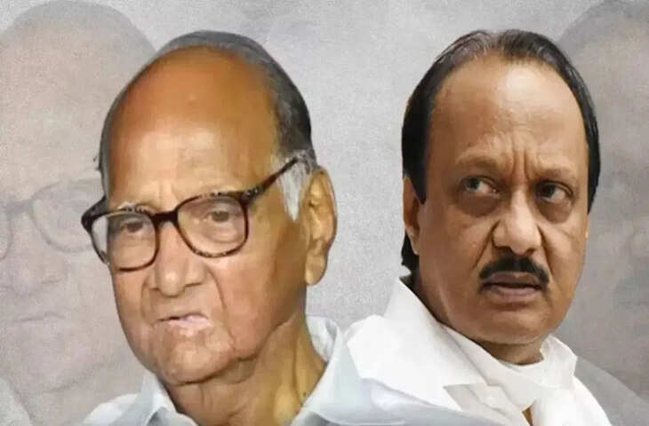 महाराष्ट्र निकाय चुनाव: शरद पवार की पार्टी को झटका, 2 Ex-Mayor, 16 पूर्व पार्षद NCP में शामिल