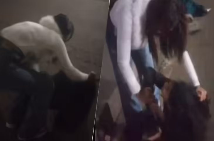 Viral Video Kanpur: बॉयफ्रेंड के लिए दो लड़कियों में जबरदस्त लड़ाई, सड़क बनी WWE रिंग​​​​​​​