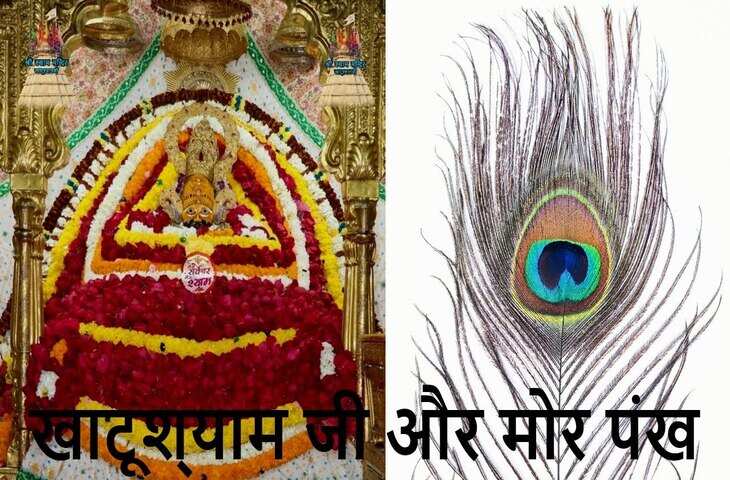 क्या है खाटू श्याम की मोर पंखुड़ियों के झाड़े का रहस्य? वायरल वीडियो में जानिए कैसे ये हर कष्ट से दिलाती है मुक्ति ?