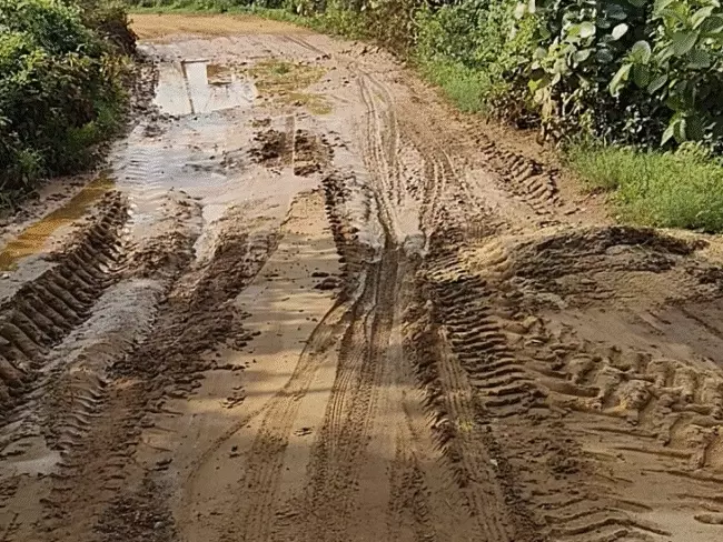 नर्मदापुरम में 2375 ग्रामीण 4 साल से खराब सड़क से परेशान, 3.26 किमी मार्ग पर गड्ढों का राज