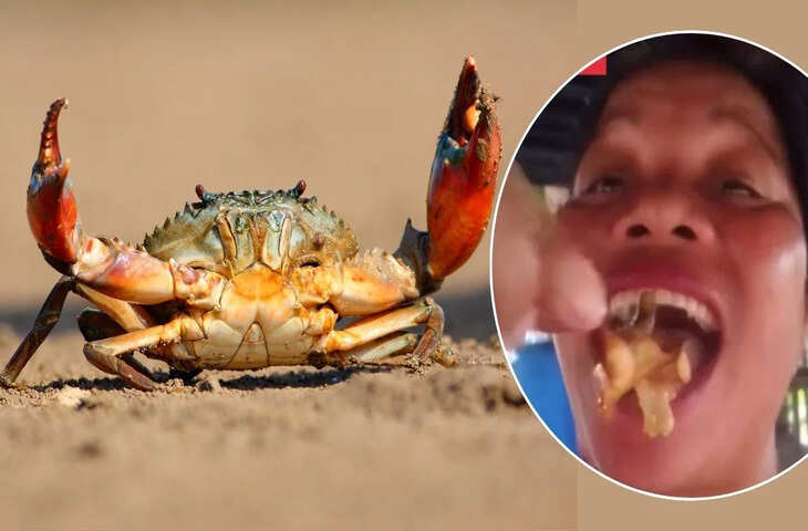 फूड व्लॉगर की गलती बनी जानलेवा, सोशल मीडिया पर वायरल हुआ अंतिम वीडियो