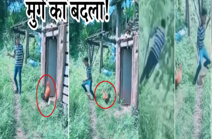 छड़ी लेकर मुर्गे को मारने गया लड़का, मगर खुद मार खाकर आ गया, वीडियो देख नहीं रुकेगी हंसी