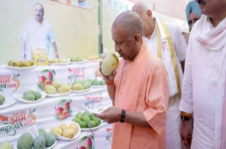लखनऊ में आम महोत्सव की धूम, सीएम योगी ने किया उद्घाटन; &lsquo;मोदी मैंगो&rsquo; रहा आकर्षण का केंद्र