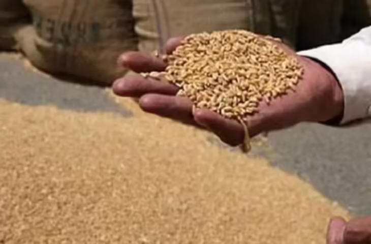 अपात्रों को NFSA योजना से नाम हटाने का आज आखिरी मौका, नहीं हटाया तो होगी वेतन से वसूली