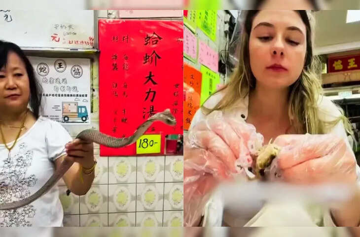 चिकन-मटन की जगह इस रेस्टोरेंट में परोसा जा रहा जहरीला किंग कोबरा, विराल क्लिप देख काँप जाएगी रूह&nbsp;