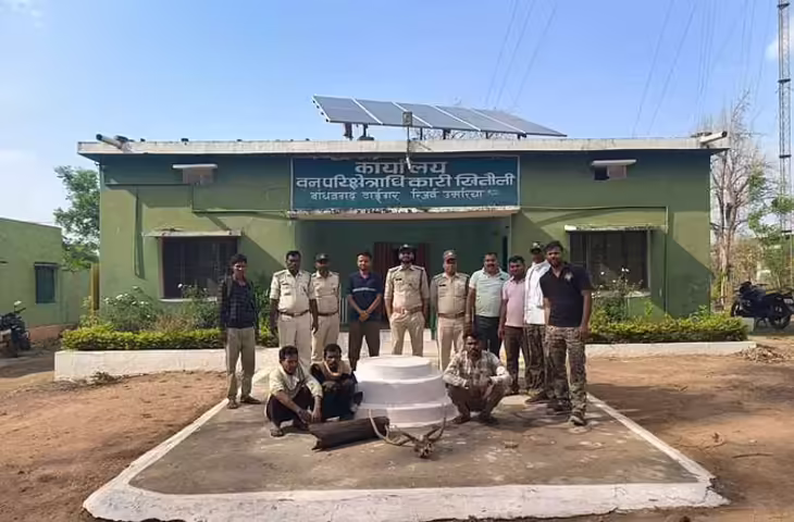 बांधवगढ़ टाइगर रिजर्व में चीतल का शिकार करने वाले तीन शिकारी गिरफ्तार, तीन आरोपी अब भी फरार