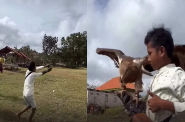 Viral Clip: बच्चे की आवाज सुनकर अचानक आया बाज, कैमरे में कैद हुआ हैरान करने वाला नजारा