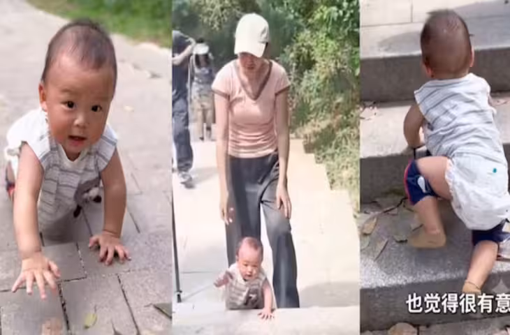 नन्हे हाथ-पैरों से चढ़ गया पहाड़, 9 महीने के बच्चे का जज्बा देखकर इंटरनेट हुआ हैरान, Viral Video