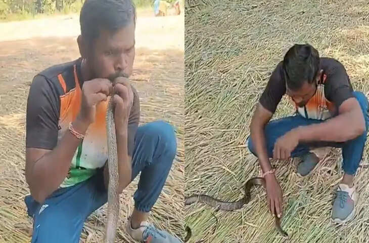 बिजली के झटके से बेहोश हुआ सांप तो इस आदमी ने CPR देकर बचाई जान, गुजरात के मंत्री ने की तारीफ