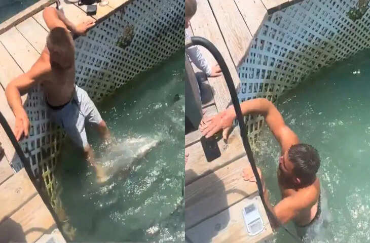 शार्क से भरे समुद्र में गिरा मोबाइल निकालने की हिम्मत, शख्स ने किया ऐसा काम कि लोग रह गए दंग
