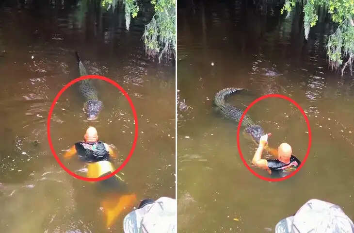 शख्स ने मगरमच्छ को खिलौने की तरह उठाकर फेंका, वीडियो देख फटी रह गईं लोगों की आंखें