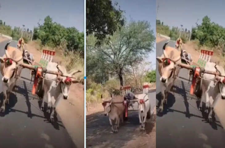 Viral Video: गांव में ऐसा चलता है देसी टेस्ला, बिना GPS के भी खुद-ब-खुद चलती है &lsquo;गांव की गाड़ी&rsquo;