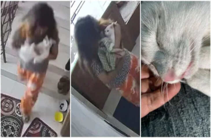 बिल्ली के साथ बुरा व्यवहार करना महिला को पड़ा भारी तुरंत मिल गया फल, वीडियो देख यूजर्स बोले -' इंस्टेंट करमा...'
