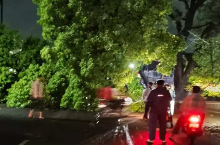 बालाघाट में बारिश बनी आफत: सड़क पर गिरा विशाल आम का पेड़, 3 घंटे तक बाधित रहा यातायात