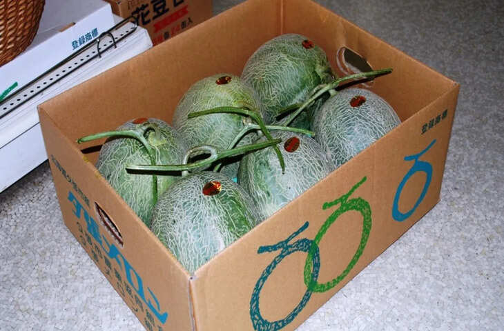 इस एक फल की कीमत में आ जाएगी महंगी कार, दाम सुनकर घूम जाएगा दिमाग