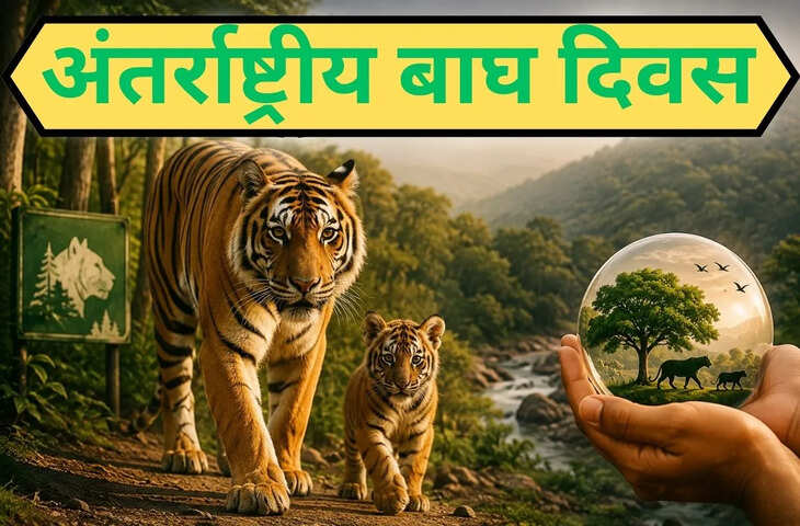 World Tiger Day 2026: खाद्य श्रृंखला से लेकर पर्यावरण संतुलन तक, जानिए भारत और दुनिया में बाघ संरक्षण की स्थिति