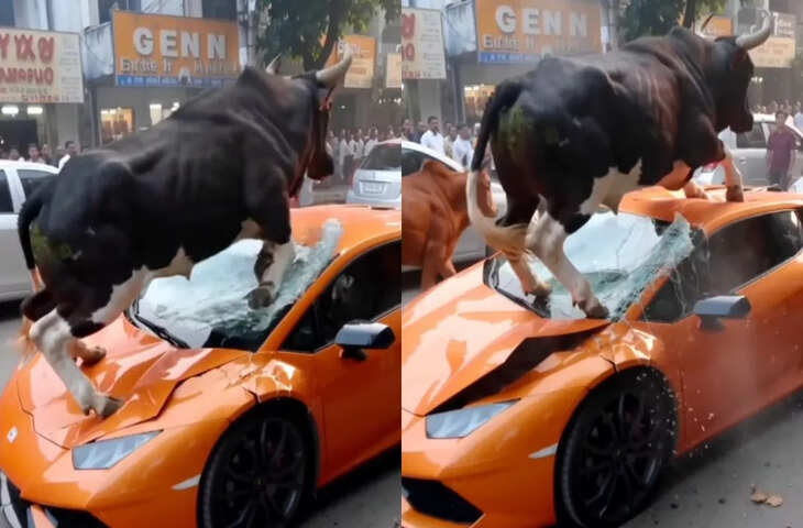 Lamborghini पर सांड का हमला, वायरल वीडियो ने उड़ाए होश, लेकिन सच्चाई है कुछ और