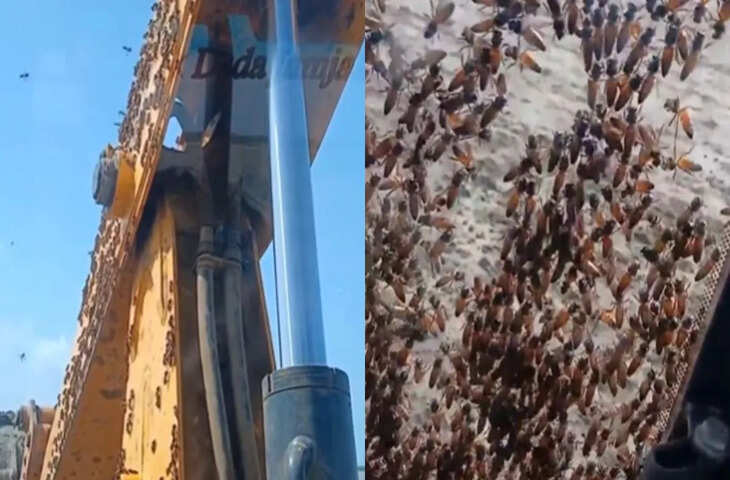 Viral Video: ऐसी हालत में फंसा शख्स देखकर हर कोई रह गया हैरान, देखकर आपको भी आ जाएगा तरस&nbsp;