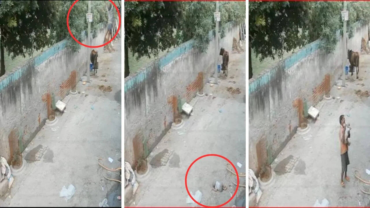 छत पर नहीं थी रेलिंग, खेलते हुए नीचे गिरा 9 महीने का मासूम, Video वायरल