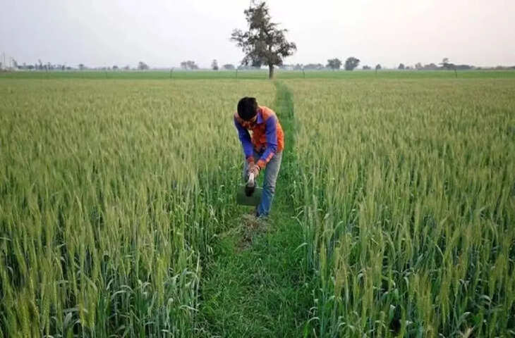 सरकार की मिनी किट योजना से किसानों की होगी बल्ले-बल्ले! कम लागत में बेहतर फसल के लिए जानें कैसे उठाए लाभ&nbsp;