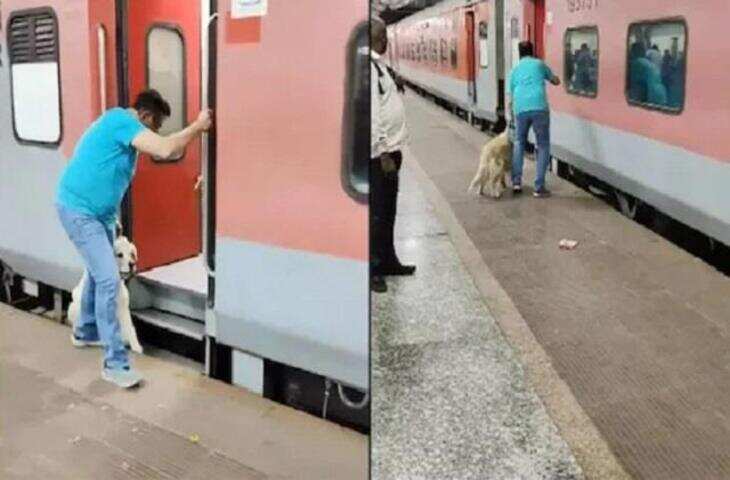 चलती ट्रेन में कुत्ते को चढ़ा रहा था शख्स, अचानक फिसला पैर और फिर...., वीडियो देख कांप जाएगी रूह&nbsp;