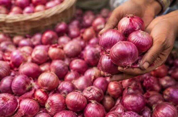 प्याज की बढ़ती कीमतों पर सरकार का बड़ा एक्शन, नासिक से दौड़ी &lsquo;कांदा एक्सप्रेस&rsquo;, 6 शहरों में पहुंचेगा बफर स्टॉक