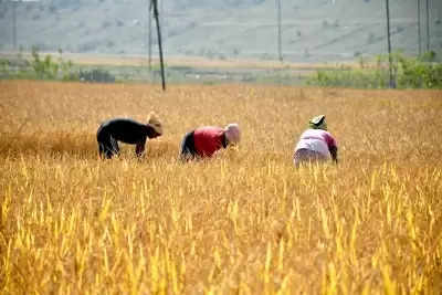Tamilnadu के 100 किसानों को इजराइल देगा खेती की ट्रेनिंग !
