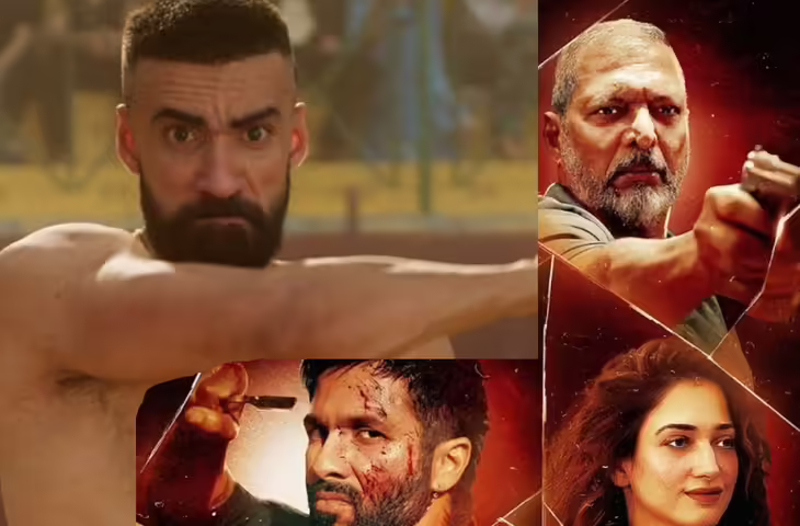 O' Romeo First Day Collection:&nbsp;शाहिद की फिल्म ने आते ही काटा बवाल, पहले ही दिन कूट डाले इतने करोड़&nbsp;