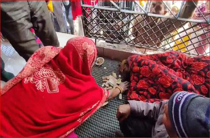 बिजनौर: प्राचीन मंदिर में कुत्ता बना आस्था का केंद्र, 5 दिन तक परिक्रमा करने का दावा, &lsquo;चमत्कारी&rsquo; मानकर पूजा करने पहुंचे लोग