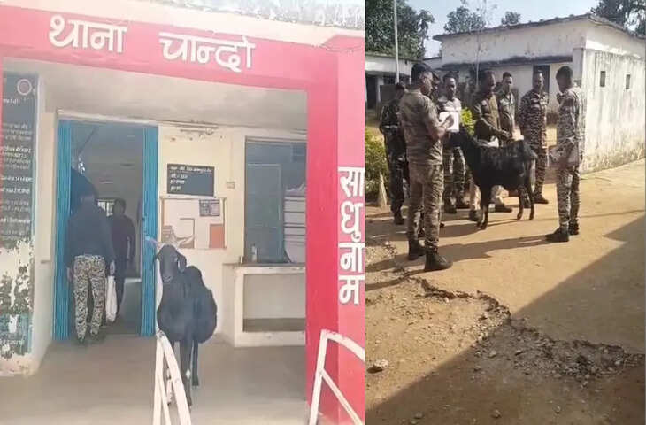 बलरामपुर पुलिस का वफादार &lsquo;सिपाही&rsquo; बकरा, 13 साल से निभा रहा है ड्यूटी