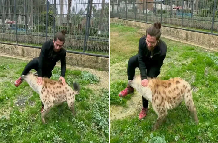 खूंखार लकड़बग्घे के सामने &lsquo;चीता&rsquo; बन रहा था शख्स, फिर जो हुआ&hellip;देख कांप जाएगी रूह