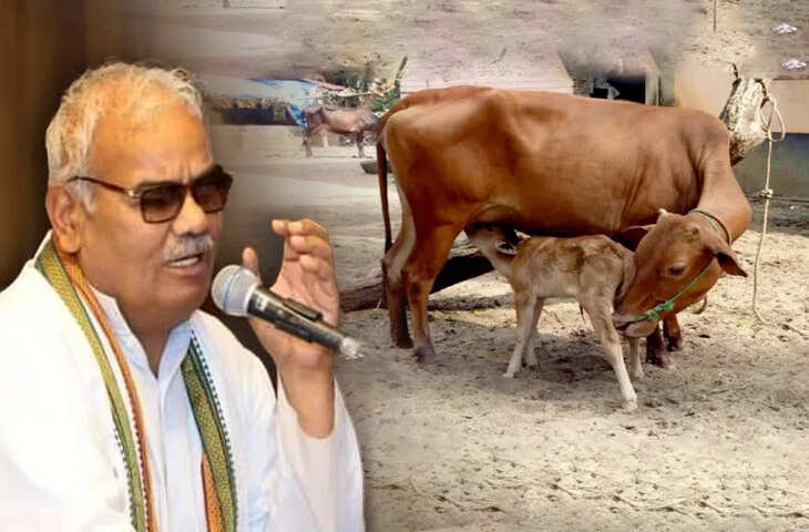 मदन दिलावर का बडा बयान, वीडियो में देखें बोले गाय का दूध पीने वाला बच्चा विद्वान, भैंस का दूध पीने वाला बुद्धि से भ्रष्ट