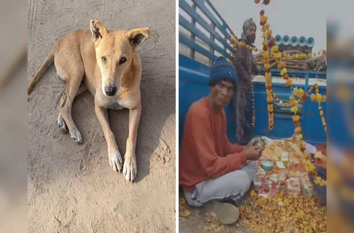अजमेर के गांव के हर अंतिम संस्कार में शामिल होता था कुत्ता, मौत पर लोगों ने DJ और गाजे-बाजे से की अंतिम विदाई