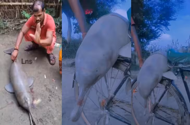 Dolphin को साइकिल से बांधा, फिर बनाने लगा Reels, वीडियो देख भड़के लोग, कार्रवाई की उठी मांग