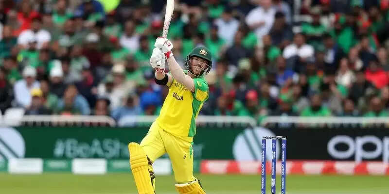 David Warner T20 WC
