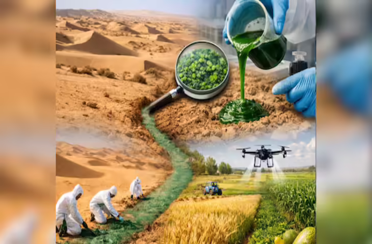 Desert Farming Revolution: चिपचिपे जीव की मदद से रेगिस्तान में उगेगा अनाज, दुनिया हैरान​​​​​​​