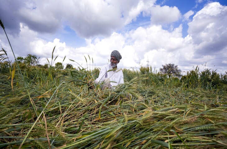 Weather Alert: 6 अप्रैल तक किसानों को सतर्क रहने की जरूरत, जानिए अगले 4 दिन कैसे संभालें खेती