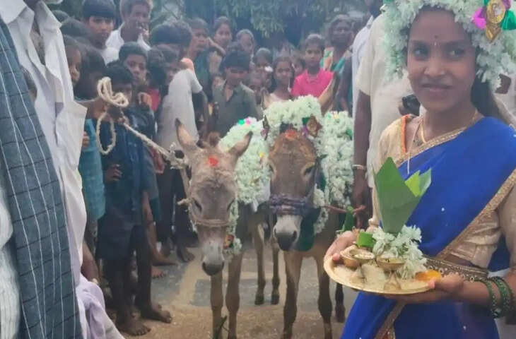 क्या कभी देखी है गधों की शादी? भारत के इस गांव में करवाया गया ऐसा ही विवाह, वजह भी बेहद अनोखी
