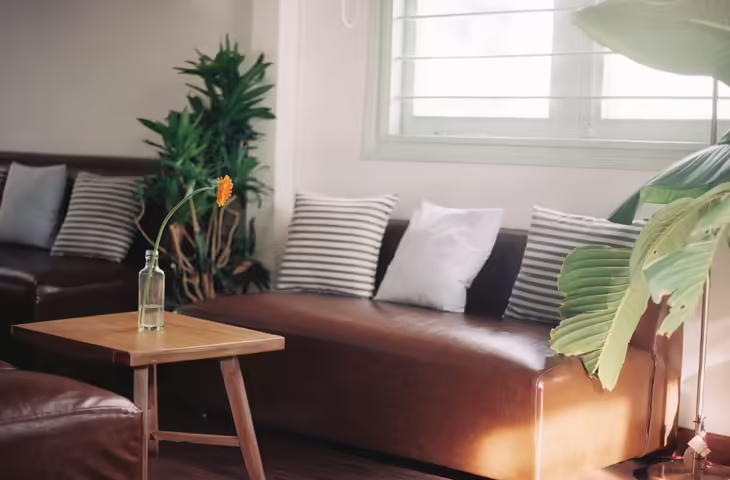 Sofa Direction Vastu Tips: सोफे के पीछे खिड़की होना क्यों माना जाता है अशुभ? जानें वास्तु के नियम