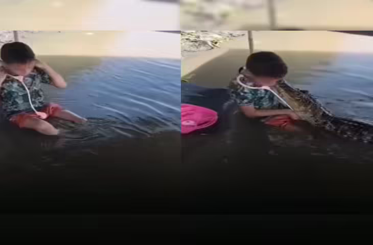 बच्चा बना डॉक्टर और मगरमच्छ बना मरीज, वायरल वीडियो देख यूजर्स बोले - 'भाई मौत से तो डर...'&nbsp;