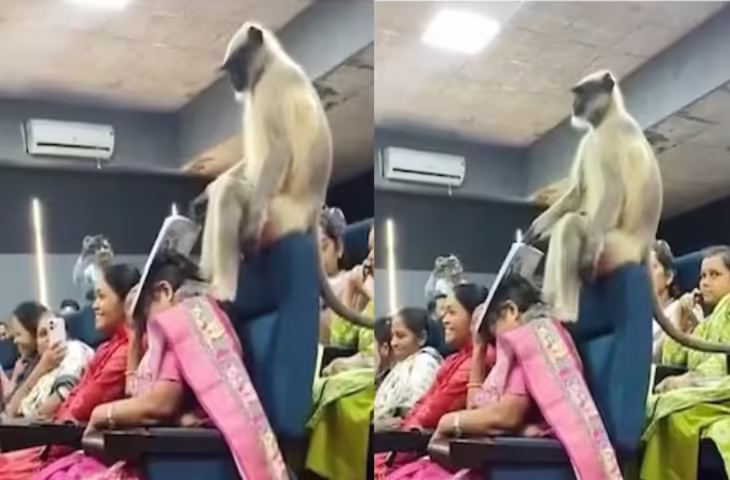 जनगणना ट्रेनिंग के बीच लंगूर की एंट्री, वीडियो देख यूजर्स बोले- ये तो स्पेशल विजिट है, वीडियो वायरल