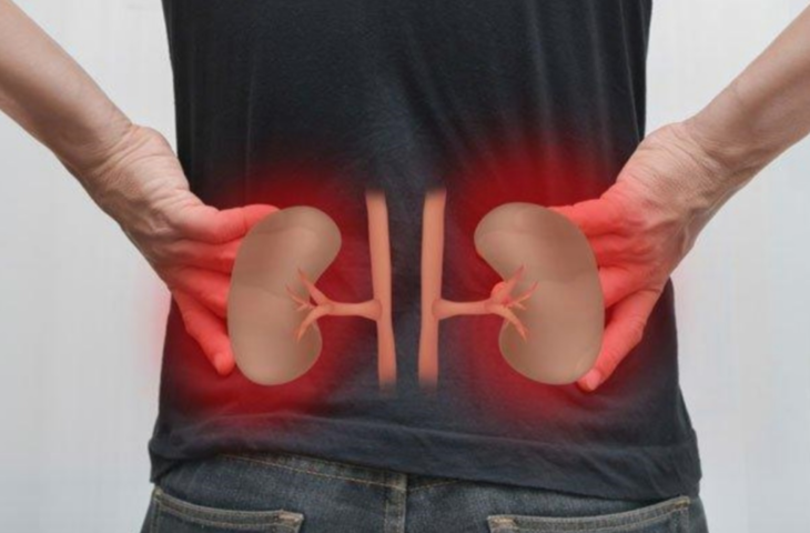 किडनी हो रही है धीरे-धीरे खराब? डायबिटीज-हाई बीपी के अलावा ये 7 आदतें बन रही हैं असली दुश्मन​​​​​​​