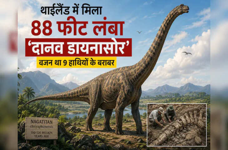 थाईलैंड में मिला 88 फीट लंबा विशालकाय डायनासोर &ldquo;नागाटाइटन&rdquo;, वैज्ञानिकों के लिए बनी बड़ी खोज