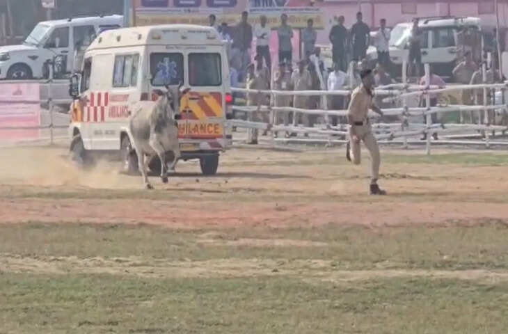 बेगूसराय में मुख्यमंत्री के आगमन से पहले सांड घुसने से मची अफरा-तफरी