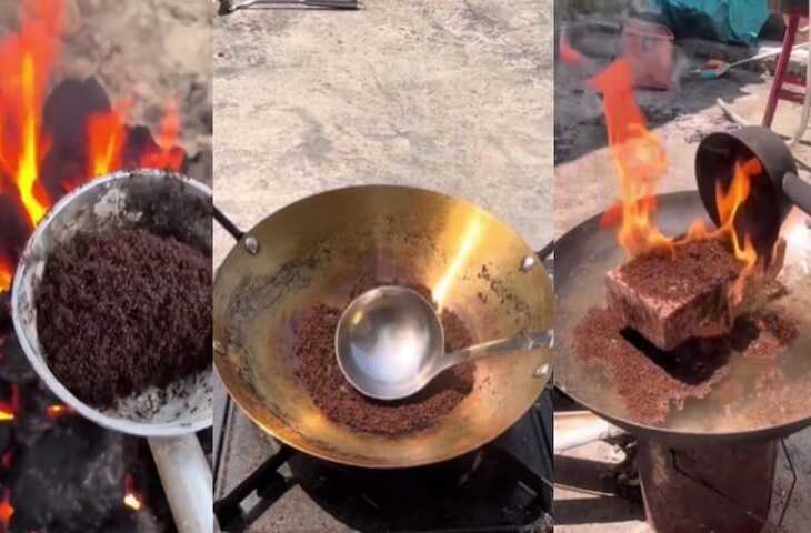 Viral Clip: व्यूज के चक्कर में की गई विवादित हरकत, लाखों चीटियों को झोंक दिया आग में&nbsp;