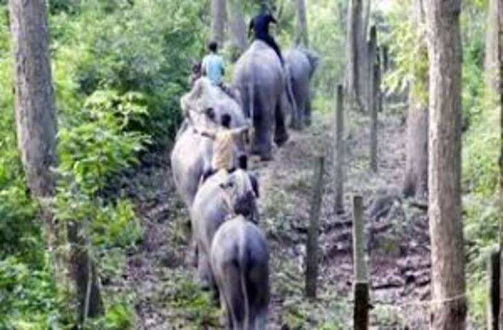 ओडिशा में पुरानी रंजिश के चलते दर्दनाक वारदात, हाइवा चालक ने स्कूटी सवार को कुचला; आरोपी गिरफ्तार
