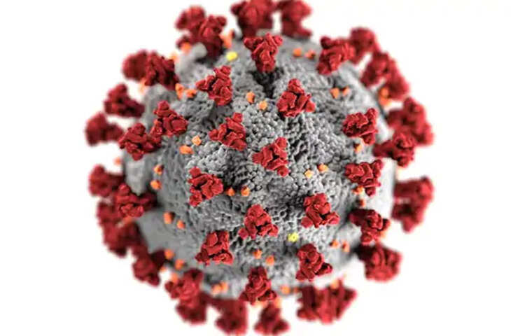 Sikar में कोरोना से एक बुजुर्ग की मौत, पिछले 24 घंटे में  311 नए संक्रमित