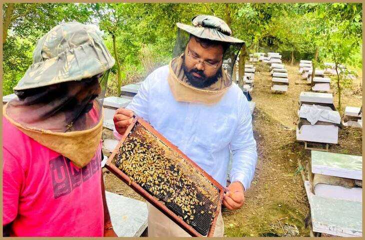खेती के साथ मधुमक्खी पालन बना फायदे का सौदा, सरकारी मदद से दोगुनी हो सकती है किसानों की आमदनी, जाने कैसे करे शुरू&nbsp;