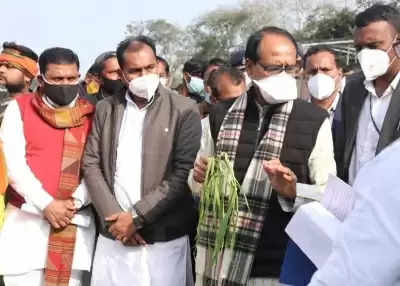 CM Shivraj Singh पहुंचे खेतों में, किसानों के नुकसान की भरपाई का वादा